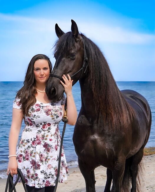 Pferdezeit mit Friesin Yenda 💕🐴, J.Kejla, Nauka jazdy konnej, Kühlungsborn