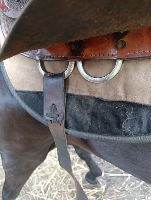 Siodło westernowe Continental, Continental , Joanna , Western Saddle, Brzoza, Image 2