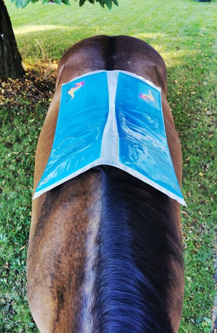 Sattelpassform Kontrolle, Sattel check, Sattelpassform, DruckPad, FitReveal Pad individuelle Sattelpassform Kontrolle, FitReveal Pad (FitReveal Pad), Inne podkładki pod siodło, Aystetten