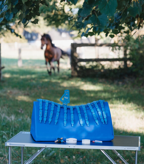 Sattelpassformkontrolle, EQUIscan, Meike Freischlader (Meike Freischlader-Pferdewirtin), Saddle Accessories, Löhne, Image 2