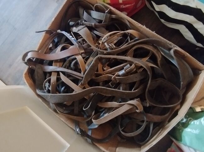 Konvolut Lederzubehör und Steigbügel, Melanie , Hilfszügel, Mühlhausen/Thüringen