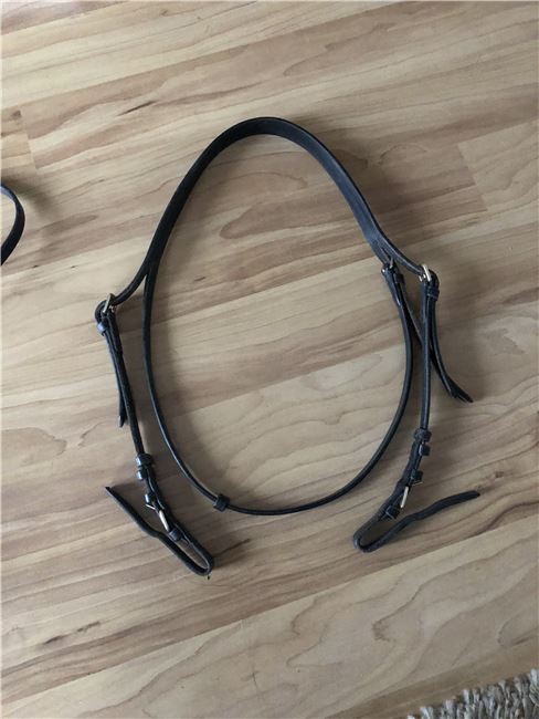 Kopfstück Trense, Bianca Schmiedel, Bridles & Headstalls, Senden