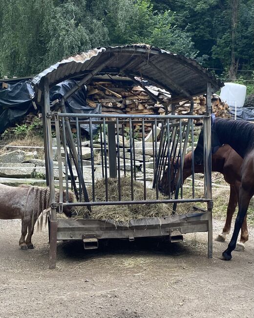 Heuraufe für Rundballen reparaturbedürftig, Friedlmeier Judith , Siatki na siano i worki na siano, Passau