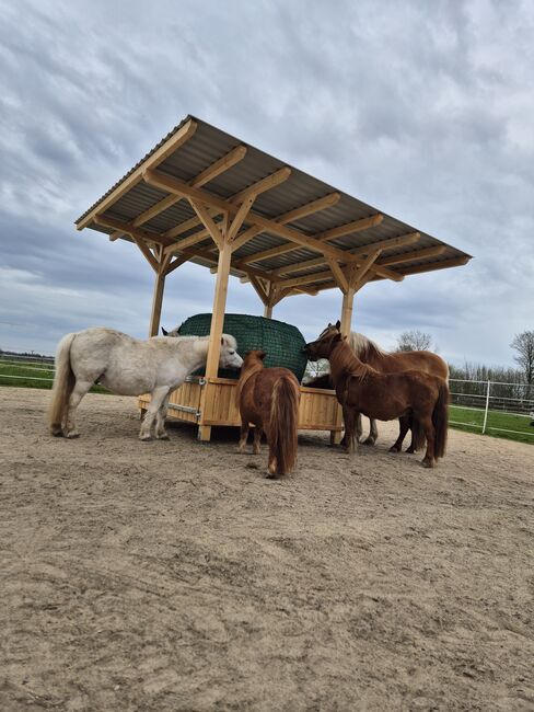 Heuraufe Holz Pferde Pony Paddock Heu Offenstall Heulage Koppel Weide, Timbermühle , Timbermühle , Siatki na siano i worki na siano, Sandesneben