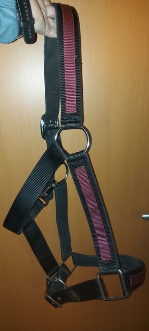 Kaltblut Halfter, Verena, Halters, Oberwölz