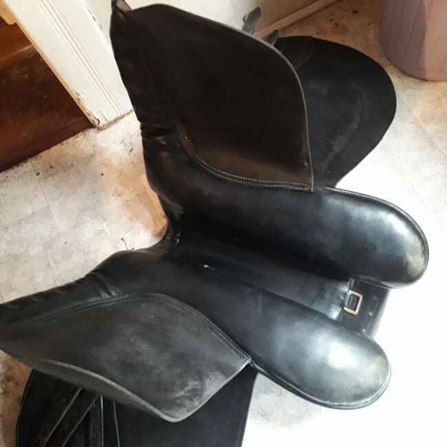 KALTBLUTSATTEL, Loesdau GOLIATH, Melanie, Other Saddle, Bergen- Miele, Image 2