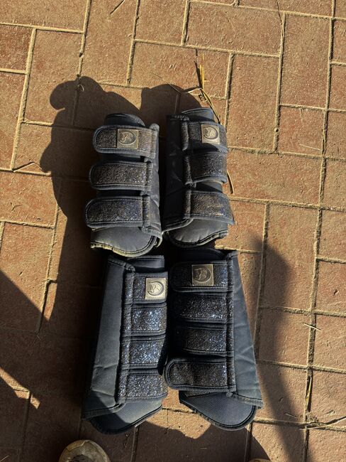 Gamaschen Warmblut, Lilly, Tendon Boots, Atzendorf 