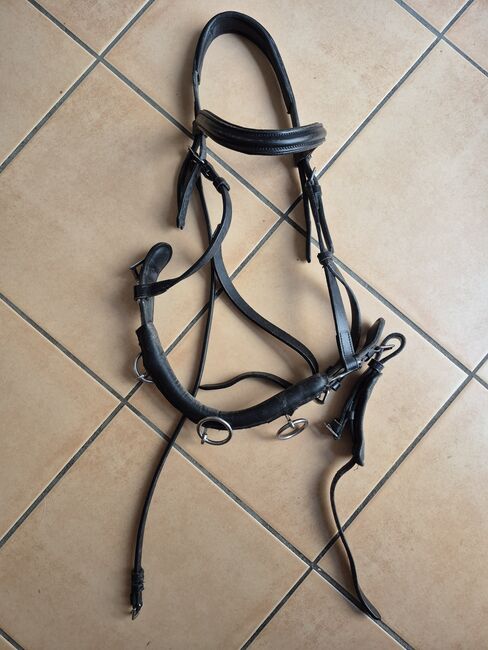 Kappzaum Krämer, Krämer , Frau H., Lunging, Annweiler