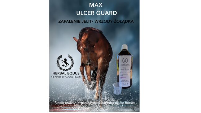 Olej ziołowy dla koni z wrzodami żołądka MAX ULCER GUARD, Herbal EQUUS MAX ULCER GUARD, Herbal EQUUS, Horse Feed & Supplements, Drawsko Pomorskie