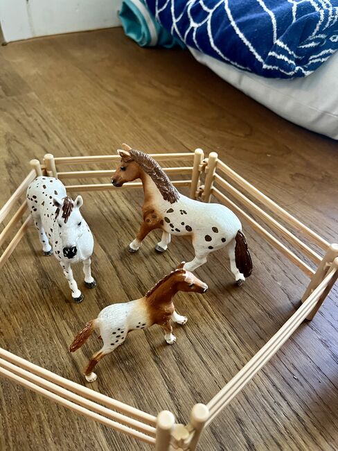 Schleichpferde/höfe/ställe/plätze zu verkaufen, Anne-Sophie Schnyder, Dressage Pads, Horw, Image 16