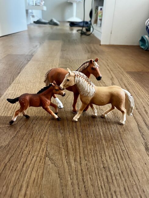 Schleichpferde/höfe/ställe/plätze zu verkaufen, Anne-Sophie Schnyder, Dressage Pads, Horw, Image 17