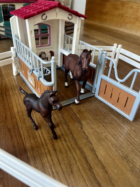 Schleichpferde/höfe/ställe/plätze zu verkaufen, Anne-Sophie Schnyder, Dressage Pads, Horw, Image 13