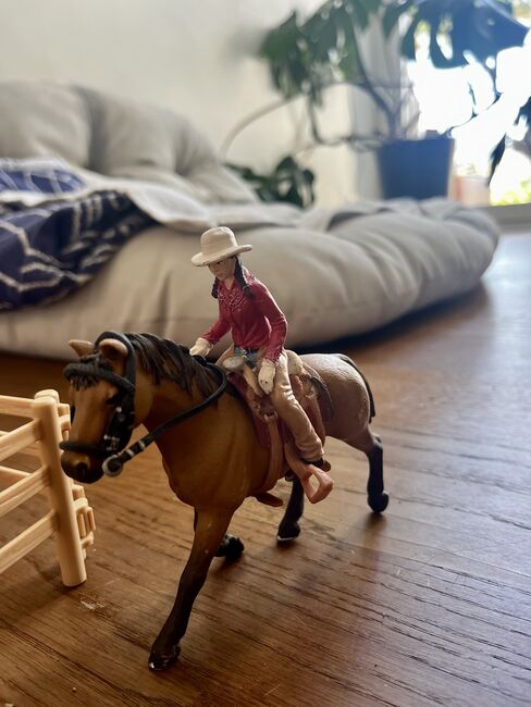 Schleichpferde/höfe/ställe/plätze zu verkaufen, Anne-Sophie Schnyder, Dressage Pads, Horw, Image 15