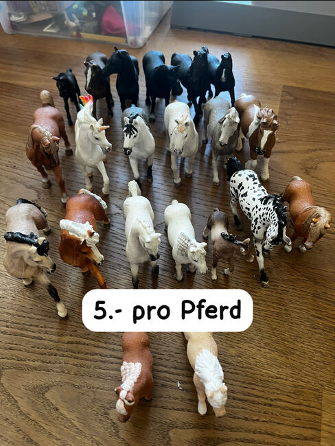 Schleichpferde/höfe/ställe/plätze zu verkaufen, Anne-Sophie Schnyder, Dressage Pads, Horw, Image 18