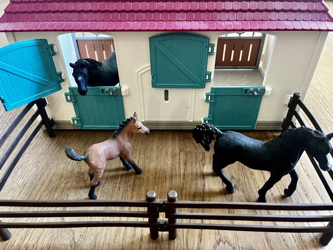 Schleichpferde/höfe/ställe/plätze zu verkaufen, Anne-Sophie Schnyder, Dressage Pads, Horw, Image 7