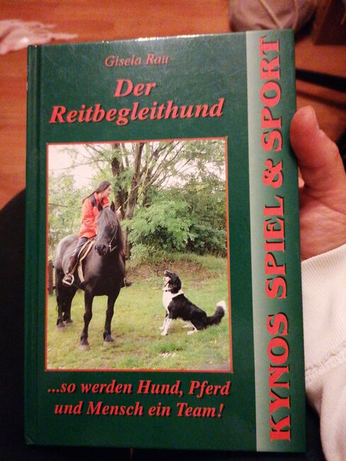 Der Reitbegleithund Buch, Alina Habenstein , Książki, Hasselroth