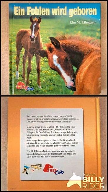 Buch "Ein Fohlen wird geboren", Pony Club Verlag , Tina, Książki, Oberursel, Image 3