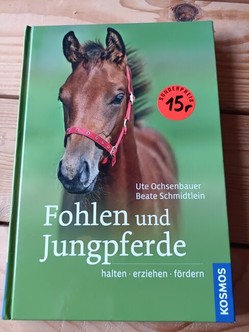 Buch Fohlen und Jungpferde, Caroline Gaiser , Książki, Nagold