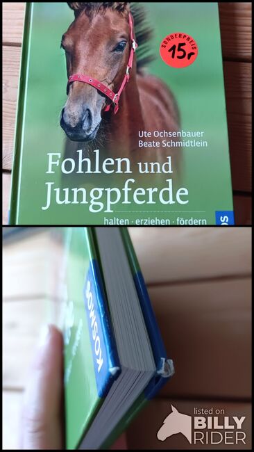 Buch Fohlen und Jungpferde, Caroline Gaiser , Książki, Nagold, Image 3