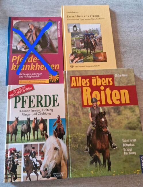 Pferdebücher, Nadine , Książki, Lindau 
