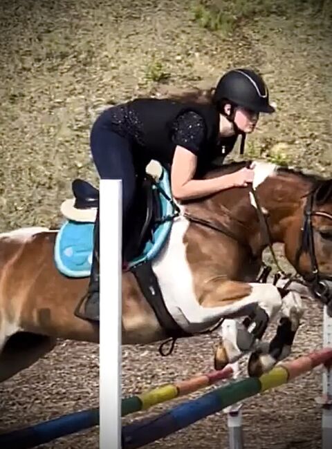 Martingal Pony, Weiß ich leider nicht mehr  Martingal , Kim, Siodło akcesoria, Liesingtal