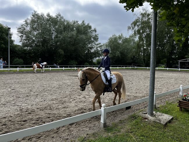 Pony zur Verfügung gesucht, Anna, Konie na sprzedaż, Schierensee, Image 2