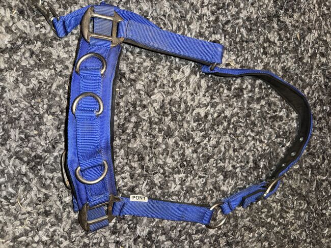 Longierhalfter Größe Pony, Corina , Lonżowanie, Egling an der Paar