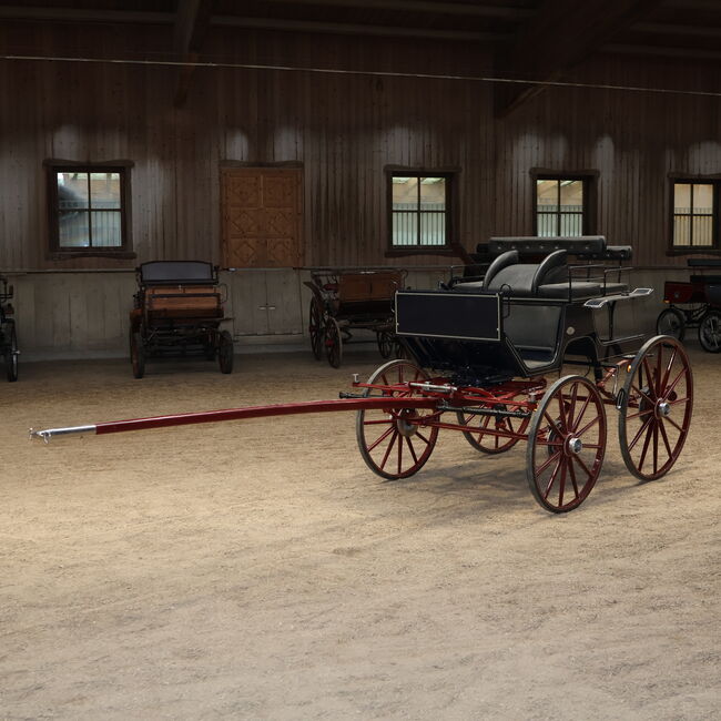 Kühnle Spider Dressur Kutsche Ein/Zweispänner Scheibenbremsen, Kühnle Spider, Niklas Jäger (2ndTrade e.K.), Carriages, Wolnzach