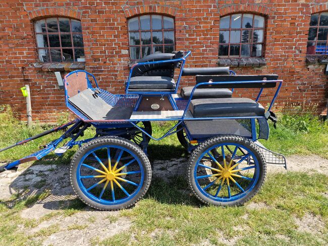 KUFA Trainingswagen warmblut einspänner kutsche, kufa, Karoline, Carriages, flensburg , Image 9