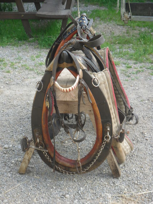 Kummetgeschirr, Bartl, Horse Harness, Johanniskirchen, Image 2