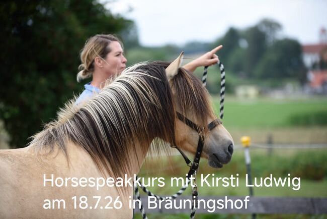 Horsespeakkurs mit Kirsti Ludwig, Weise Anja, Courses & Seminars, Marloffstein