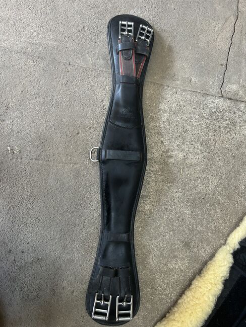 Kurzgurt 70cm, Prestige , Ophelie Bley, Sattelgurte, Stendal