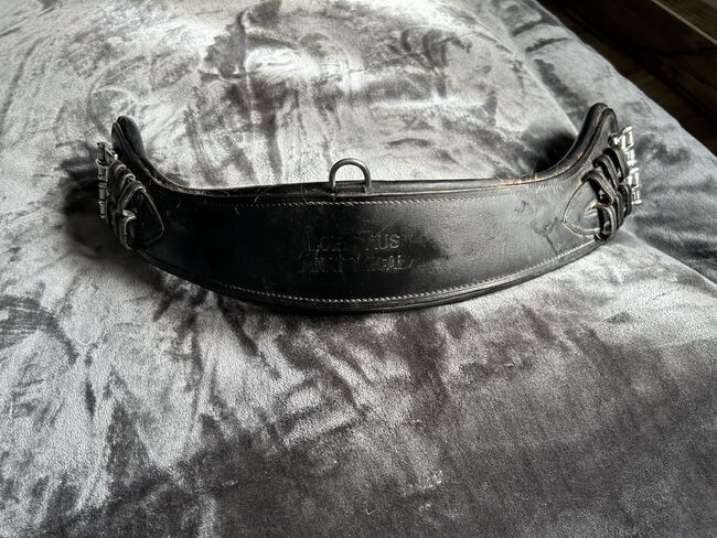 Kurzgurt Leder 70 cm anatomisch, Loesdau Anatomical, Dana, Sattelgurte, Moorweg