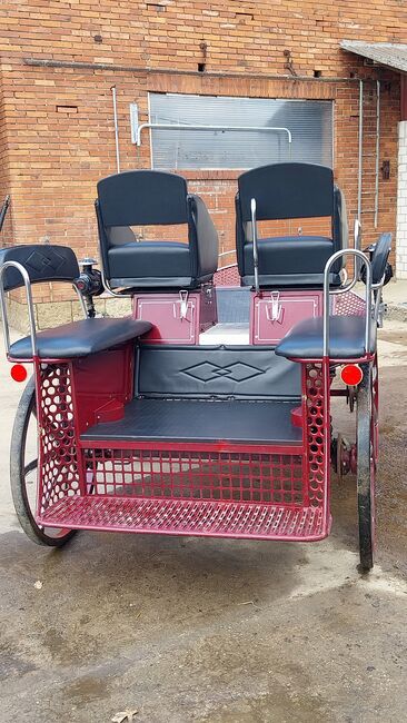 Kutsche,  Fahrschulwagen, Wagonette, Weiss, Kutschen, Bückeburg , Abbildung 6