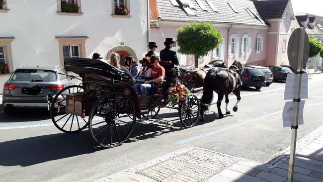 Kutsche für Großpferde, Kibele  Vis-a-Vis, Maximilian  Scheiber, Kutschen, Schreibersdorf , Abbildung 3