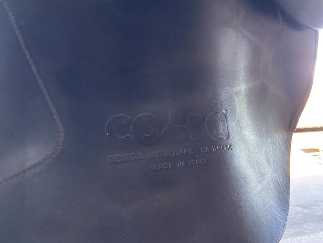 La Belle Cobra VSS 17“, La Belle Cobra, Noëlle Thüring, Jumping Saddle, Laufen, Image 3
