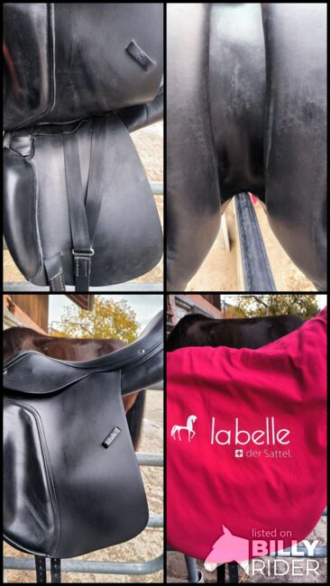 Labelle Sattel, Labelle , Franziska , Icelandic Saddle, Image 6