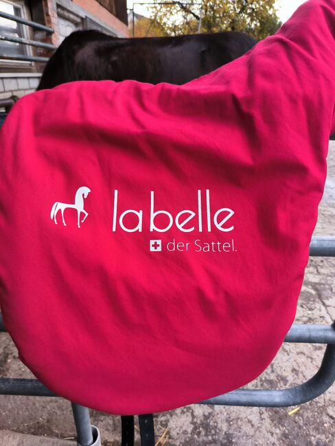 Labelle Sattel, Labelle , Franziska , Icelandic Saddle