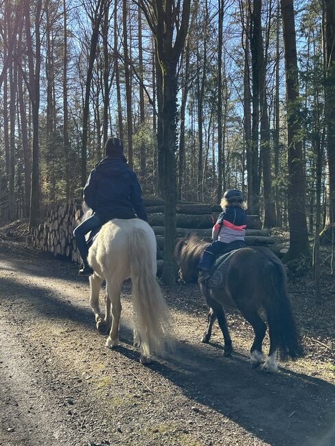 Hübscher Pony-Mix für reiterfahrene Kinder zu verkaufen, Michelle, Konie na sprzedaż, Wildensbuch, Image 2