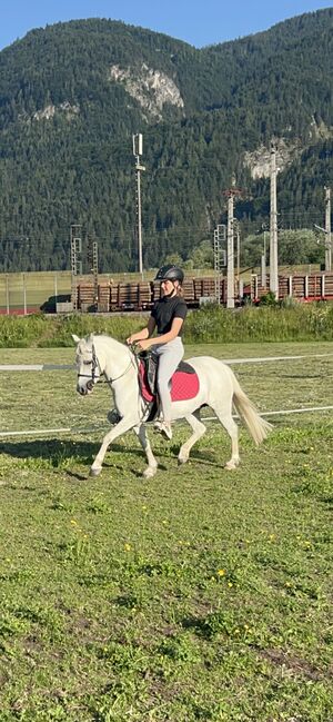 Hübsche sportliche Pony Stute zu verkauf, Alessia, Konie na sprzedaż, Wörgl, Image 4