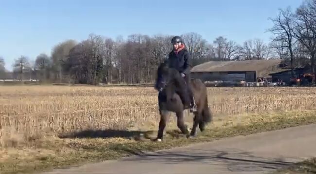 Hübsches Islandpferd mit Traum Mähne, Silke Köhler, Konie na sprzedaż, Image 10
