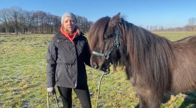 Hübsches Islandpferd mit Traum Mähne, Silke Köhler, Konie na sprzedaż, Image 4