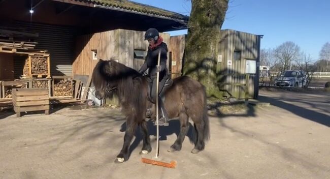 Hübsches Islandpferd mit Traum Mähne, Silke Köhler, Konie na sprzedaż, Image 9