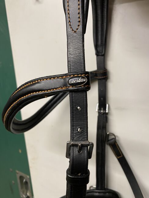 Leder Kappzaum Gr. VB Lösdau, Lösdau , Tina Müller , Bitless Bridles, Kreuzau, Image 3