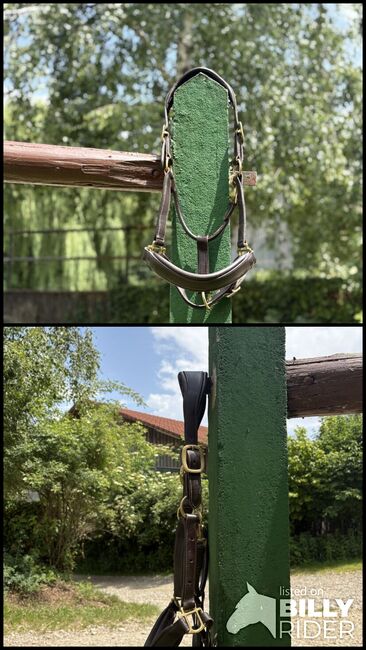 Lederhalfter braun in COB/ Vollblut, Lara , Halters, Zolling, Image 3