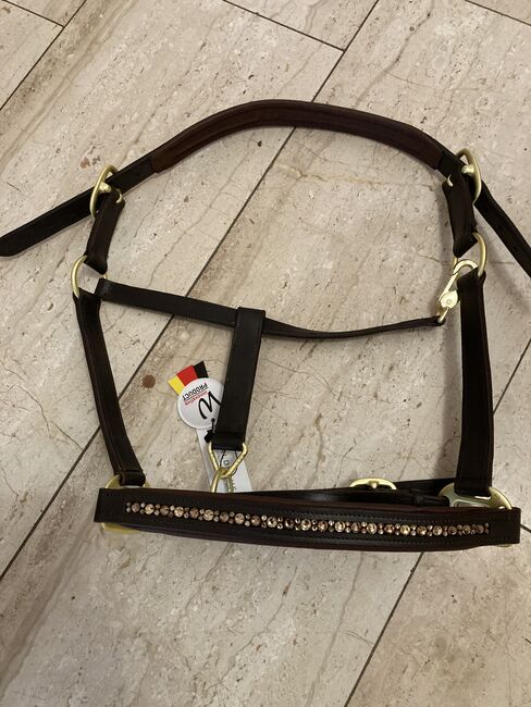 Lederhalfter, WB, Braun, Waldhausen, Helga Schwätzler, Halters, Beverungen