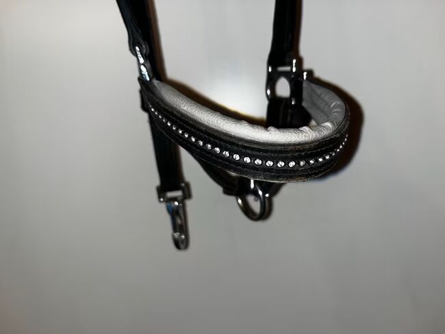 Lederhalfter, Lederhalfter, Sarah , Halters, Poppenhausen