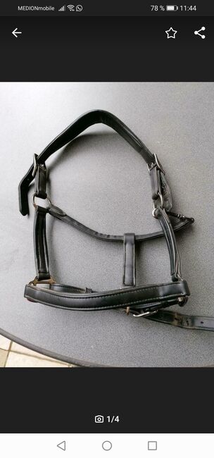 Lederhalfter aro equi, Aro equi Lederhalfter, Alina Habenstein , Halters, Hasselroth