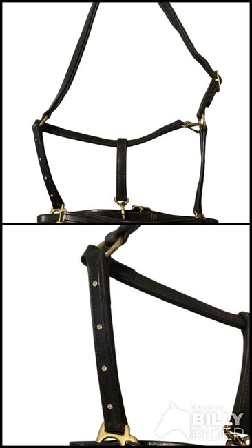 Lederhalfter mit Swarovski Nieten, Glam Bridle, Halters, Gottshaus , Image 3