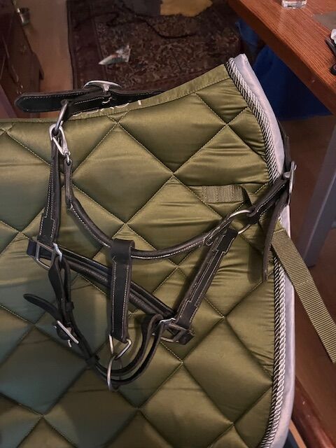 Lederhalfter soft, Vollblut, schwarz, Elke Griese, Nosebands, Berlin